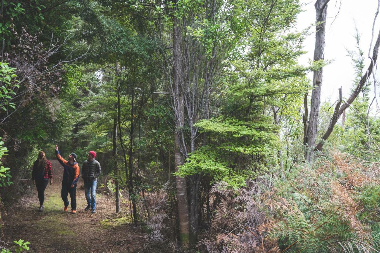 A Pousada Lone Moose Backpackers Te Anau Exterior foto